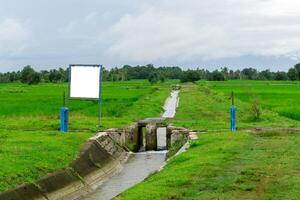 water stromen systeem naar irrigeren de rijstveld velden. blanco informatie teken bord Bij de rijstveld rijst- veld. rijst- veld- irrigatie foto