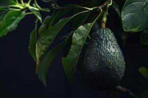 ai gegenereerd avocado fruit Aan Afdeling met groen bladeren tonen biologisch versheid en natuurlijk structuur foto