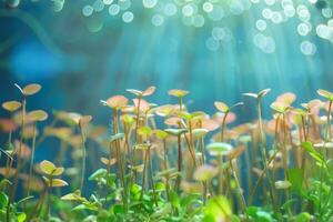 ai gegenereerd aquatisch planten groei vertegenwoordigt aquarium zaden ontspruiten in een onderwater- flora met bokeh verlichting foto