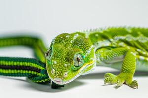 ai gegenereerd groen gekko met verstelbaar reptiel riem in een gecontroleerd huisdier milieu foto