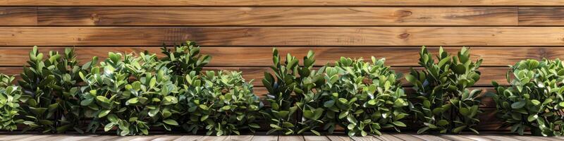 ai gegenereerd teak hout structuur achtergrond met natuurlijk groen en planten haag foto