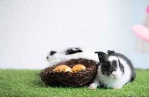 Pasen eieren en een konijn in een mand Aan gras foto