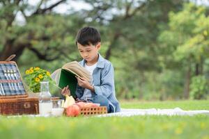 gelukkig familie genieten van een picknick in de park, jongen zittend en lezing boeken. foto