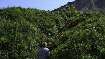 opa Aan wandeltocht in bergen in zomer. klem. ouderen Mens wandelingen langs berg pad Aan zonnig zomer dag. achterzijde visie van ouderen Mens wandelen Aan wandeltocht in heuvels met groen gras foto