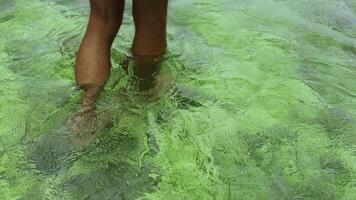 detailopname van Mens wandelen in Doorzichtig zee water. klem. mooi Doorzichtig water met groen kleur van stenen onder water. Mens wandelingen in Doorzichtig turkoois water foto