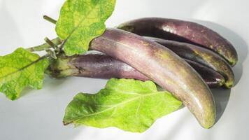 een wit bord met drie Purper aubergines foto