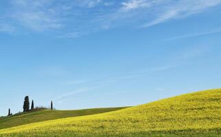 de Toscaans heuvels foto