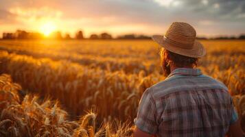 ai gegenereerd boer staand in tarwe veld- op zoek Bij zonsondergang foto