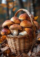 ai gegenereerd champignons in mand in de herfst Woud foto