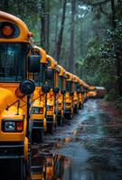 ai gegenereerd school- bussen geparkeerd in rij. rij van geparkeerd school- bussen klaar naar plukken omhoog studenten foto