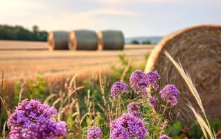 ai gegenereerd bloemen en rietje balen Aan de veld- na oogst foto