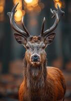 ai gegenereerd portret van rood hert hert in de Woud foto