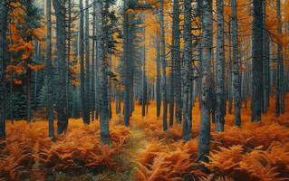 ai gegenereerd herfst fluisteren, een rustig Woud tafereel foto