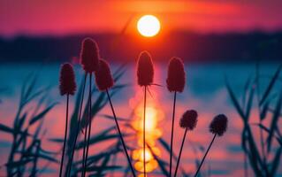 ai gegenereerd de vurig bol van de instelling zon gloeit intens achter aftekenen cattails Bij de water rand foto