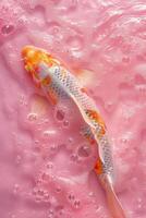 ai gegenereerd koi vis zwemmen in roze wateren foto