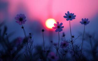 ai gegenereerd aftekenen wilde bloemen koesteren in de rooskleurig gloed van een instelling zon foto