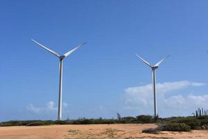 windmolen boerderij in aruba naar produceren groen energie foto