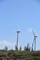 paar- van wind turbines langs de kust van aruba foto