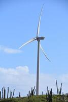 groen windmolen en turbine genereren macht in aruba foto