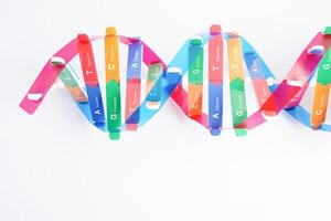 dna molecuul spiraal structuur model- geïsoleerd Aan wit achtergrond, chromosoom en gen chemisch wetenschap biologie. foto