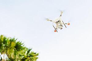 helikopter met een professioneel camera vliegt over- tropisch bomen tegen een blauw lucht. dron. foto