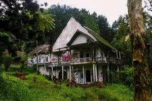 een verlaten huis in de midden- van de Woud dat looks een weinig eng foto