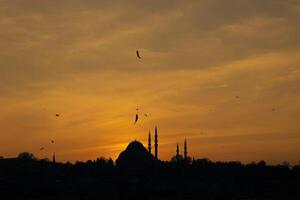 silhouet van suleymaniye moskee en vissen Aan de visvangst hengel foto