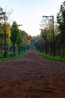 een jogging of rennen spoor in een park van grond niveau in verticaal schot. gezond levensstijl concept achtergrond. foto