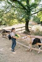 mam met een weinig meisje in haar armen feeds een pony door de hek in de park foto