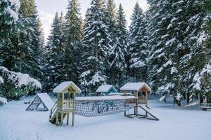 houten met sneeuw bedekt speelplaats in een naald- Woud foto