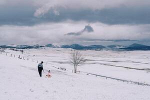 moeder draagt een klein kind Aan een slee langs een met sneeuw bedekt heuvel in een berg vallei. terug visie foto