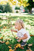 weinig meisje is gehurkt Aan een groen gazon met een boom Afdeling in haar hand- foto