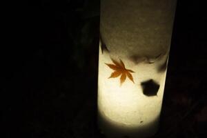 een verlichte rood bladeren in de licht Bij de traditioneel tuin Bij nacht in herfst foto