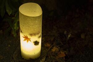 een verlichte rood bladeren in de licht Bij de traditioneel tuin Bij nacht in herfst foto