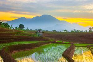 mooi ochtend- visie van Indonesië van bergen en tropisch Woud foto