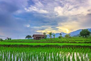 mooi ochtend- visie van Indonesië van bergen en tropisch Woud foto