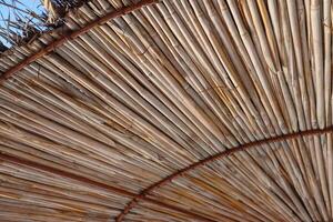 albanië. duur. detailopname van de rietje strand zon paraplu Aan de adriatisch strand. rotan handgemaakt paraplu voor zon bescherming. rietje textuur. selectief focus. foto