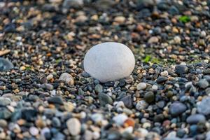 een grote witte steen op de achtergrond van veel kleine natte gekleurde stenen aan de kust foto