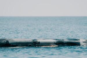 vrouw zee kajak. gelukkig glimlachen vrouw in kajak Aan oceaan, peddelen met houten roeispaan. kalmte zee water en horizon in achtergrond. actief levensstijl Bij zee. zomer vakantie. foto