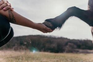 jong gelukkig vrouw met haar pony paard in avond zonsondergang licht. buitenshuis fotografie met mode model- meisje. levensstijl humeur. concept van buitenshuis rijden, sport- en recreatie. foto