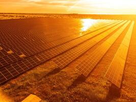 antenne top visie van een zonne- panelen macht fabriek. fotovoltaïsche zonne- panelen Bij zonsopkomst en zonsondergang in platteland van bovenstaande. modern technologie, klimaat zorg, aarde besparing, hernieuwbaar energie concept. foto