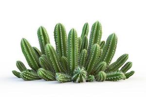ai gegenereerd levendig groen cactussen TROS Aan wit achtergrond foto