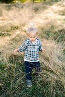 weinig meisje wandelingen door de hoog gras, op zoek naar beneden Bij haar voeten foto