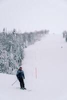 skiër bochten op een ski helling langs een besneeuwd Woud foto