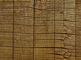 bruin houtstructuur foto