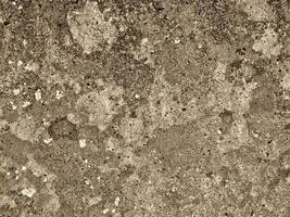 bruine steen textuur foto