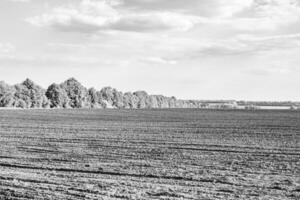 fotografie Aan thema groot leeg boerderij veld- voor biologisch oogst foto