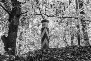 fotografie Aan thema mooi voetpad in wild gebladerte bos- foto