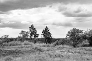 mooi horizon landschap in dorp weide Aan kleur natuurlijk achtergrond foto