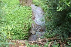 landschap in de omgeving van een kreek in Gatlinburg Tennessee foto